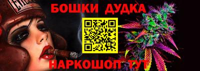 сатива Лесосибирск