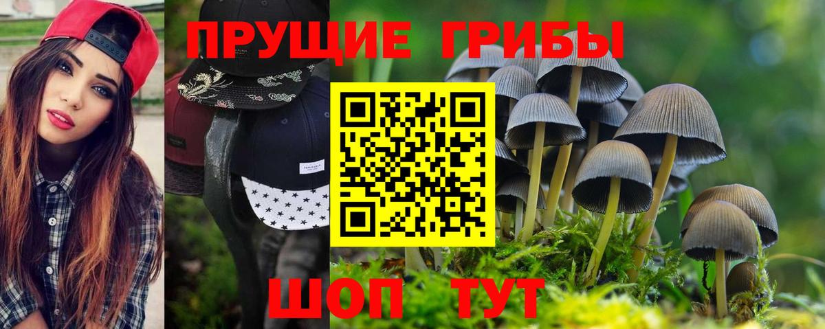 Электросталь  Галлюциногенные грибы Magic Shrooms  купить   Вход с VPN 